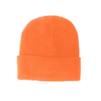 PVT LB CUFF BEANIE CAP Thumbnail
